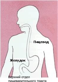 https://www.zdrav.kz/images/content/cancer/pic16.jpg