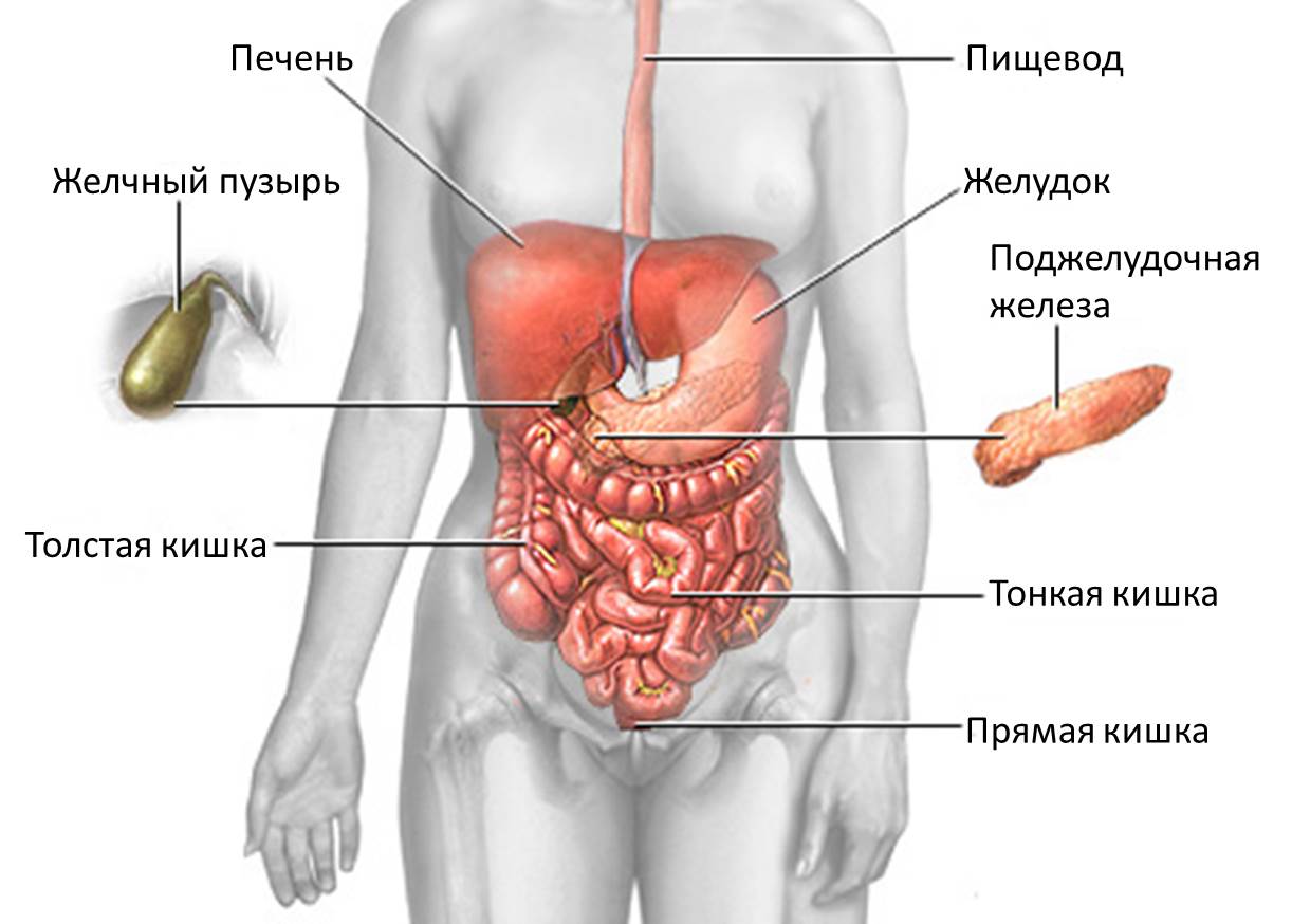 Картинки по запросу