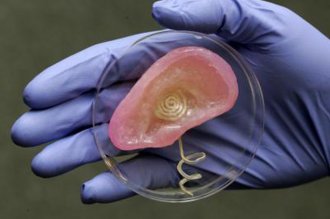 При помощи трехмерной печати инженеры создали органическое ухо – запасную часть для киборгов