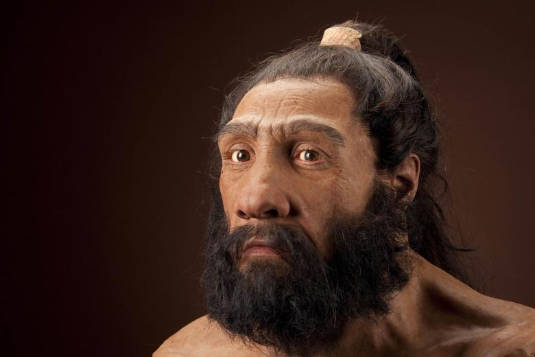 Неандертальцы болели также как и наши современники