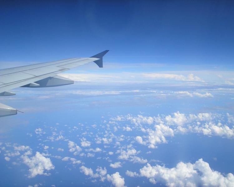 01194480.jpg