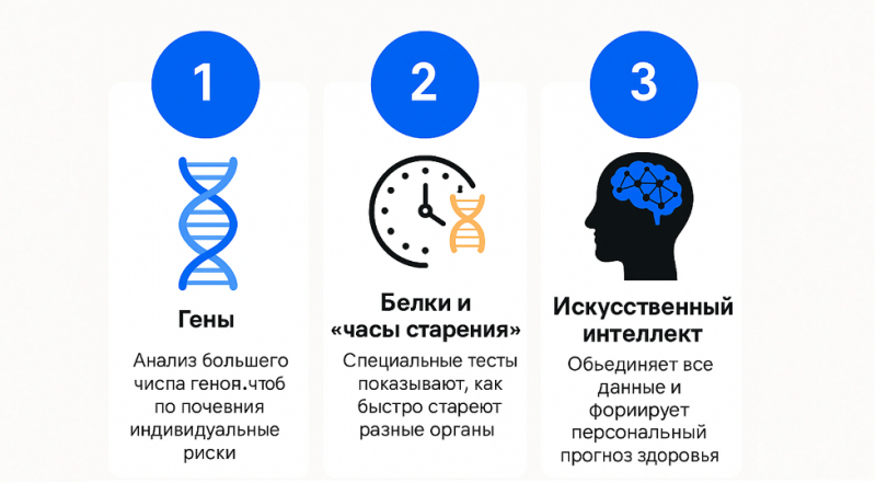 pro-aktivnoe_zdorove-_kak_zhit_dolshe_i_luchshe_-_prostymi_shagami_i_tochnymi_dannymi4.png