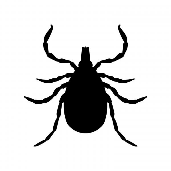 shutterstock_348254534.jpg