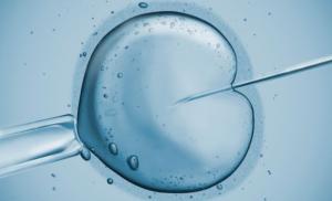 В Великобритании могут разрешить ЭКО с использованием генетически модифицированных эмбрионов