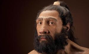 В организме погибшего неандертальца обнаружена самая старая опухоль